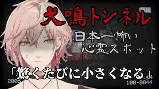 【犬鳴トンネル】驚くたびに小さくなっていきます…。【律可/ホロスターズ】