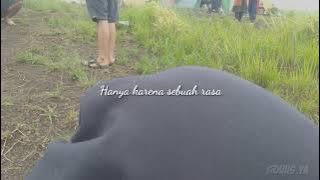 Status wa 'Sebuah rasa' Agnes Mo [Lirik vidio]