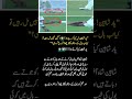 Shaheen’s Strange Act with Ball! 👟⚾ شاہین کی عجیب حرکت! #ViralCricket**
