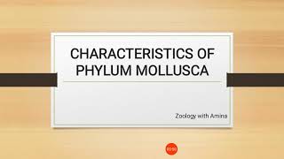 Characteristics of phylum mollusca