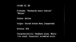 Shortwave Radio Oddity Roundup