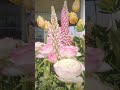 山本湖々   人生勝負待ったなし