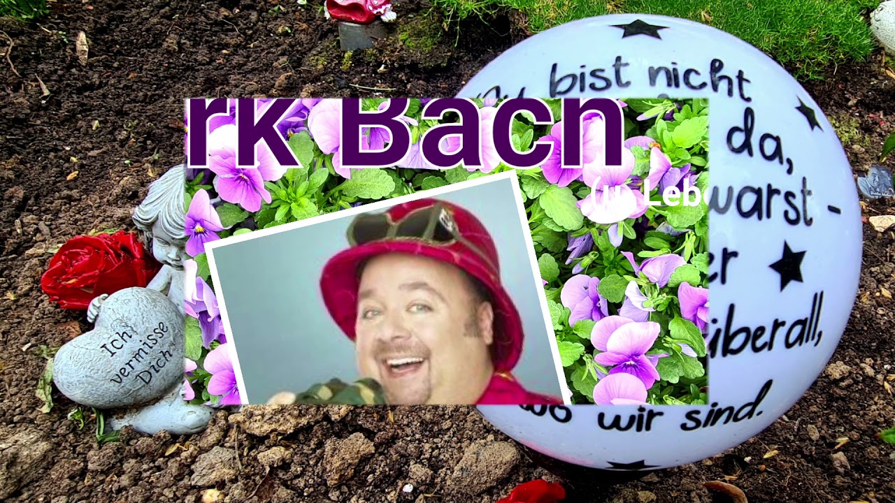 WOLLE-FILM COLONIA  MIT MARTIN AUF MELATEN