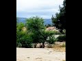 Discraft First Run Zone OS 293' Mountain Pride Disc Golf Course. Hole 12, 313' par 3.Discstroy DG