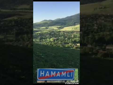 Gürcüstan Dmanisi Hamamlı kəndi