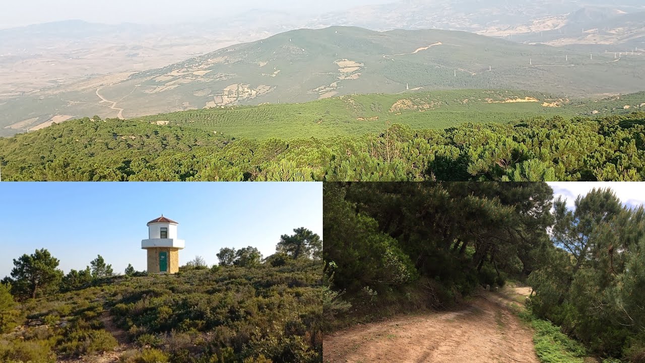 جولة في عمق الطبيعة والغابة الكثيفة نواحي مدينة طنجة المغربية [جماعة دار الشاوي إقليم طنجة-أصيلة]