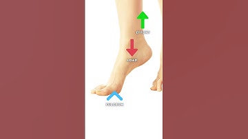 LEVERS (Mechanical Advantage) - OCR GCSE PE - Movement Analysis (1.3)