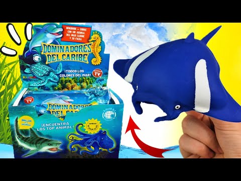 MANTA RAYA, TORTUGA