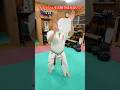 【武道・刃牙】宙に浮かぶティッシュは刃物では切れない!?本当かやってみた!!#aikido #karate #martial #武道 #空手#筋トレ
