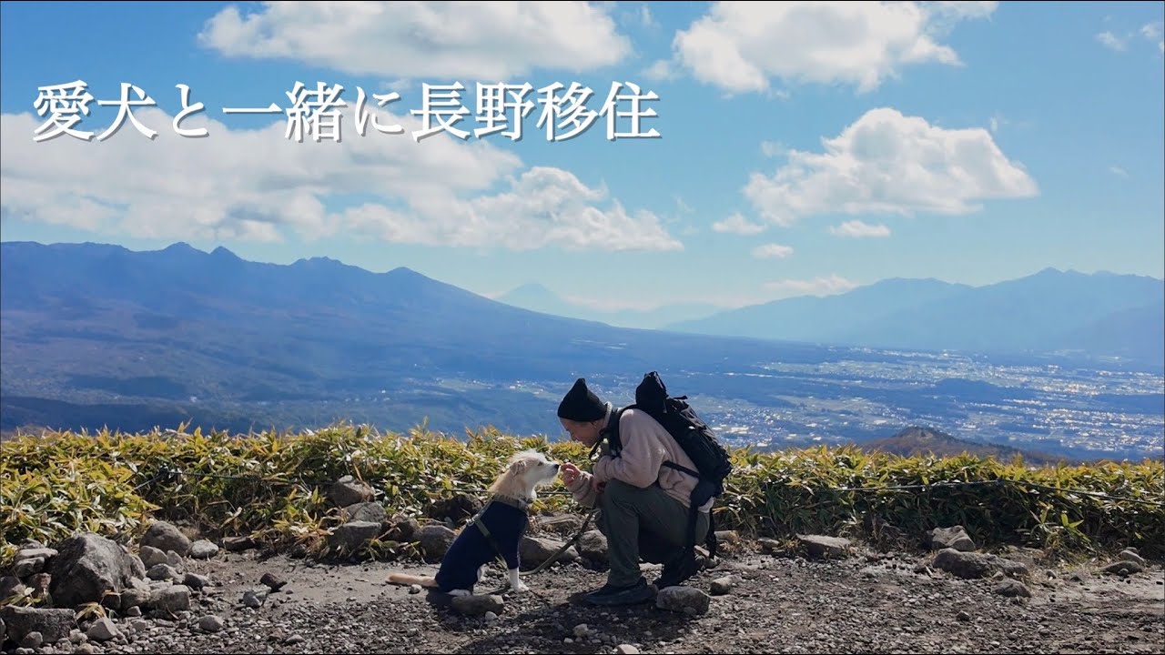 【愛犬と移住】秋の霧ヶ峰｜移住から半年の変化｜理想の暮らしへの道のり