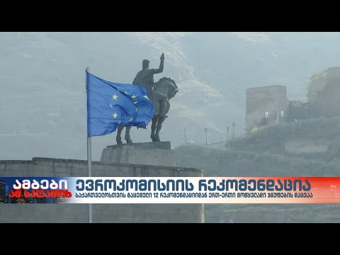 მოწყვლადი ჯგუფების უფლებები – ევროკომისიის 12 რეკომენდაციიდან ერთ-ერთი