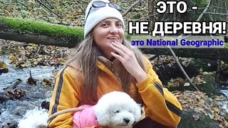🎥Это не польская деревня. Это National Geographic — когда деревня выглядит лучше, чем отпуск в горах