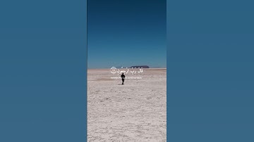 سكون الفجر.. لحظة تلاوة تملأ قلبك نورًا وطمأنينة ✨🌅