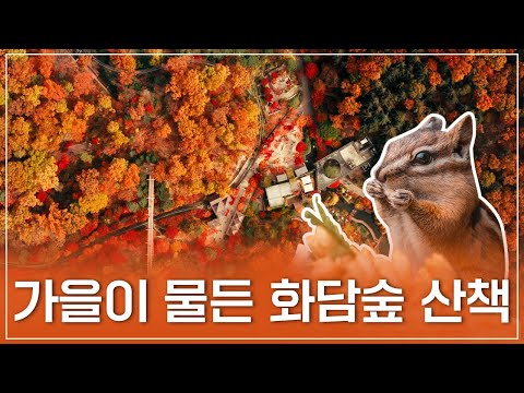 [4K] 화담숲의 가을 | 단풍과 함께하는 힐링여행