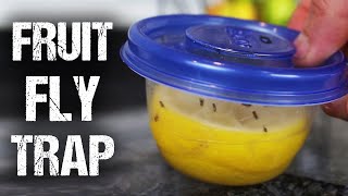 How To Make a "Lemon Fresh" Fruit Fly Trap How To Make a "Lemon Fresh" Fruit Fly Trap