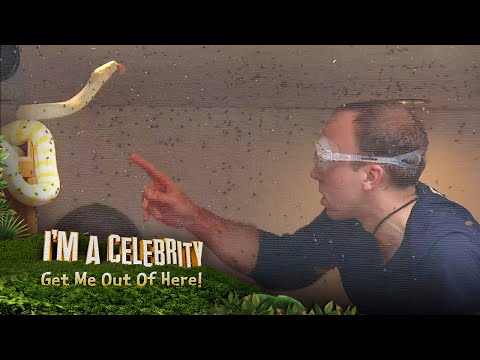 Matt takes on the House Of Horrors 🪰🐍 | I'm A Celebrity... Get Me Out Of Here!