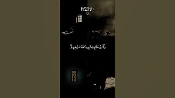 سورة المائدة 🤍❤️ تلاوة خاشعة #قران #القران_الكريم #قران_كريم #راحة_نفسية #تلاوة_خاشعة #ماهرالمعيقلي