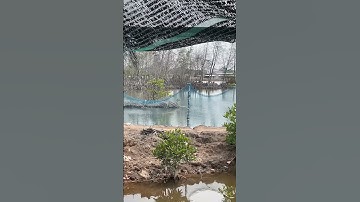 Rớt 😀 còng cọc