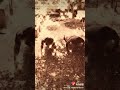 Push up competition