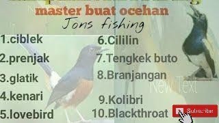 10 Macam Suara Burung Untuk Masteran - Buktikan Dan Dijamin Langsung Kicau (100% Rekaman Asli)