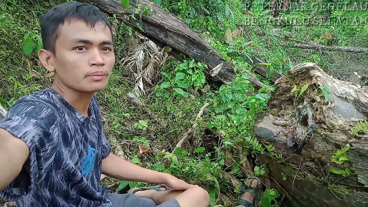 MENCARI JEJAK TRIGONA MELINA & BIGHAMI