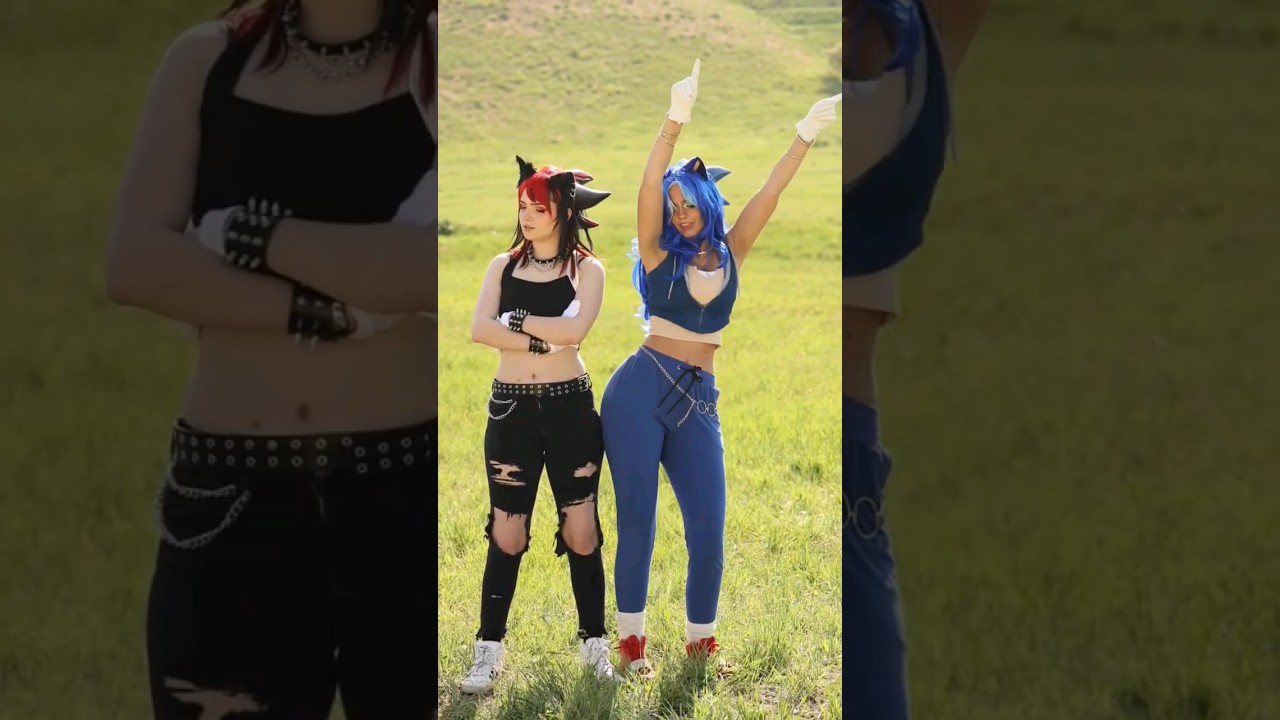 Are you the Sonic or Shadow friend? w/ 