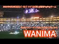 【WANIMA】20230625 ファイト!九州デー 試合後の生ライブパフォーマンス「旅立ちの前に」「遠くまで」 @福岡PayPayドーム・外野レフト