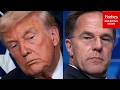 NATO Chief Rutte Asked About Reports Trump Is Considering Pulling US Troops From Some NATO Countries
