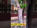 Welcome To BBAU Lucknow🔥