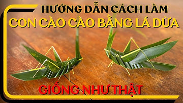 Làm cào cào bằng lá dừa cực đơn giản giống y như thật | @Thoahandmade