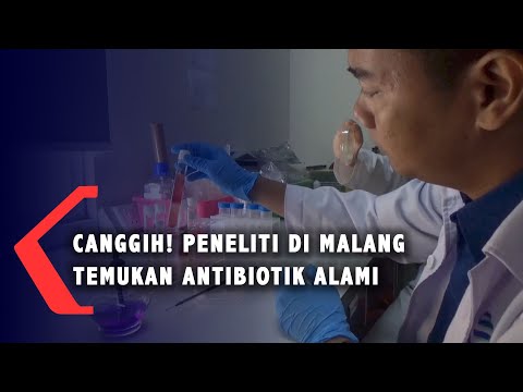 Video: 5 Antibiotik Alami Untuk Dicoba Di Rumah