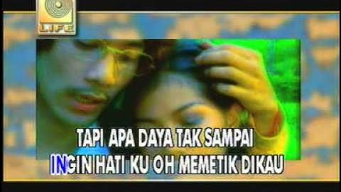 Bunga Mawar - The Mercy