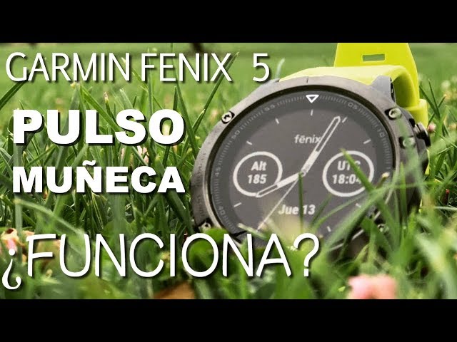 PULSOMETRO GARMIN FENIX 5 18058352