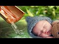 【大定番】妊婦さんの為のBGM 胎教にいい音楽 お腹のお子様に聴かせてあげてください。Vol.08