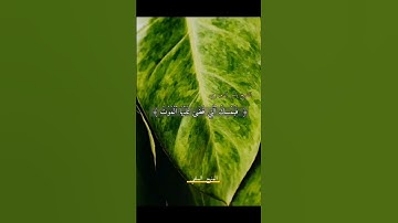 الأية 42 من سورة الزمر  بصوت الشيخ ياسر الدوسري