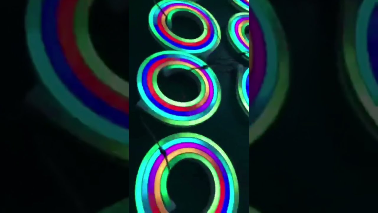 RGB RGBW 12V 24V WS2811 ws2812 addressable digital Neon flex LED Strip