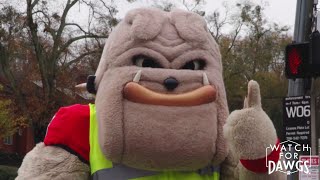 Watch for Dawgs