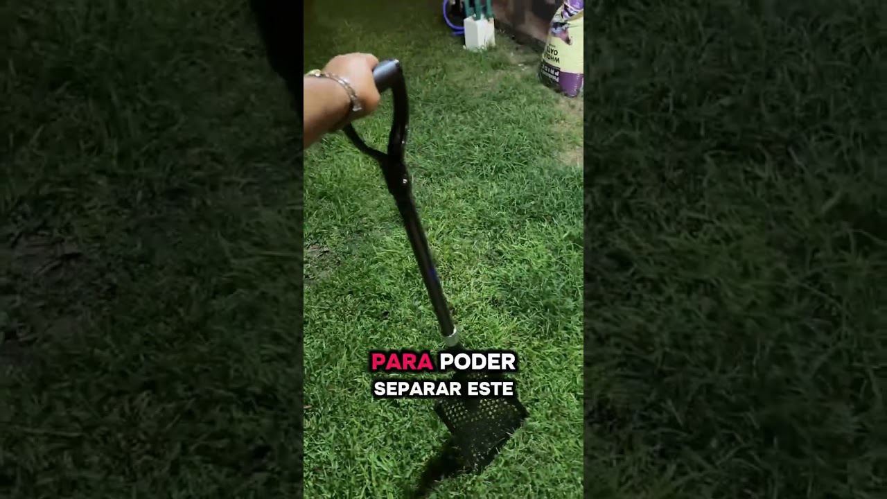 Took this CKG carbon sand sifter shovel to the beach and it actually makes things so much easier