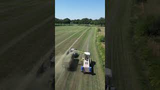 Claas Jaguar Grass Silage 🚜✨ #agri #grass #silage #farmtok #farming