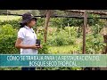 Como se trabaja para la restauracion del bosque seco tropical - TvAgro por Juan Gonzalo Angel