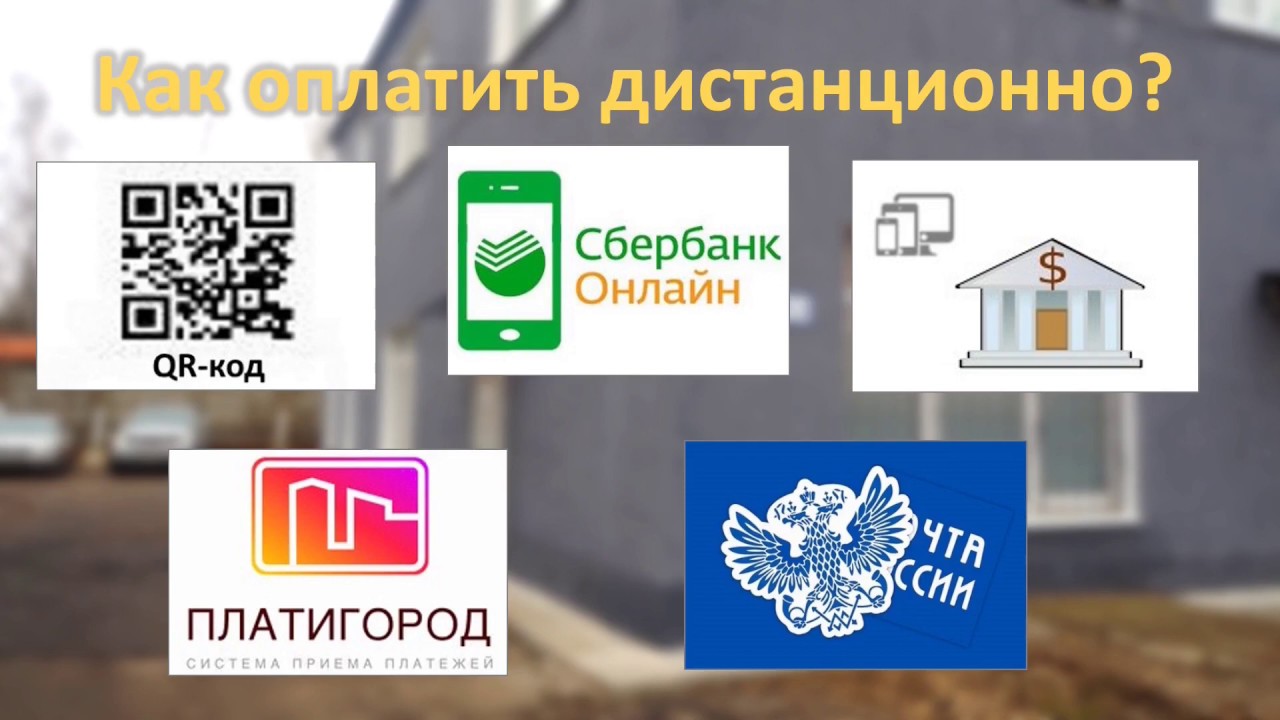 Ооо глобус авто