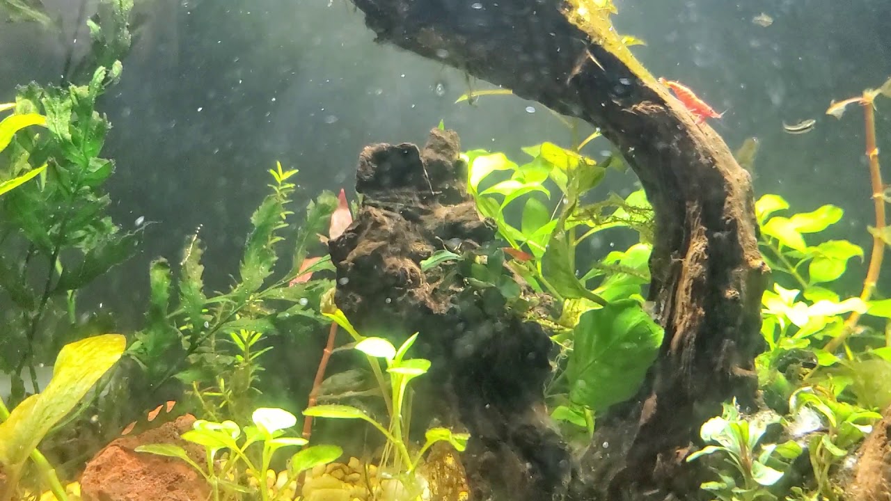 Quick update on the 15 flex. - YouTube