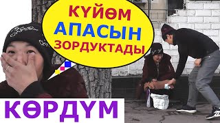 видео: картинка: