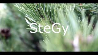 Stegy - Interstellar