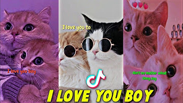 I Love You Boy New Trend Xml Video | Tiktok Trending Video Editing | Alightmtion tutorial
