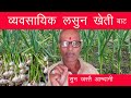 Lasun kheti    garlic farming         welcometvnepal