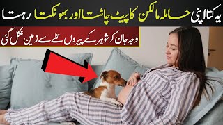 A Dog That Saved Its Owner's Life || Blessing Of The Animals || Islam Advisor