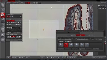 Leica LAS X Linked Shading: Color