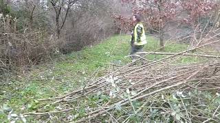 Workday on Brook Meadow - 04 02 24