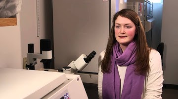 Gibco® FBS-benefits of Specialty Serum for your research (Dialyzed and Charcoal Stripped FBS)